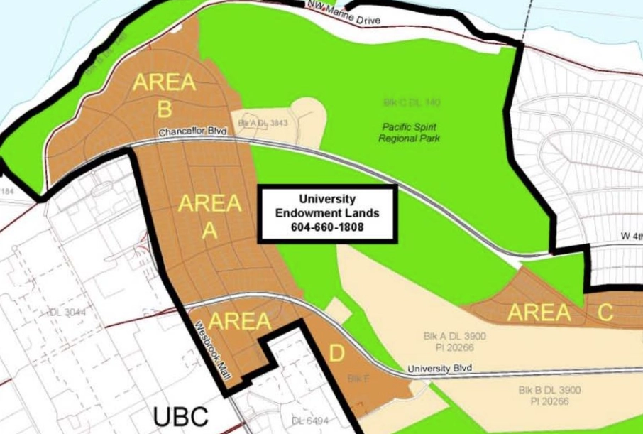 largest university endowments