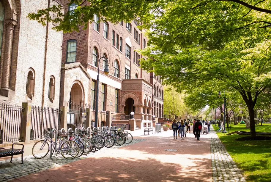 design school portfolio