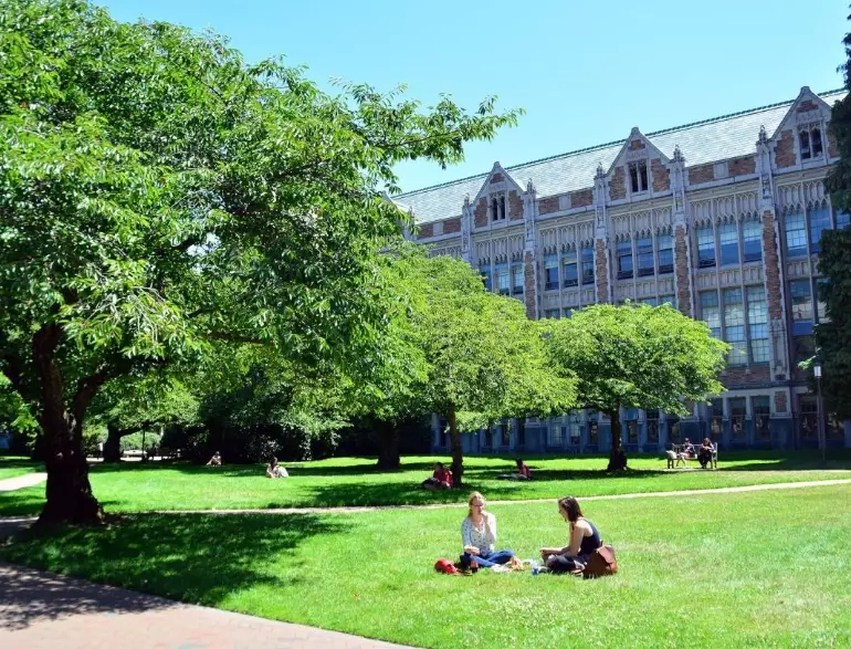 design school portfolio