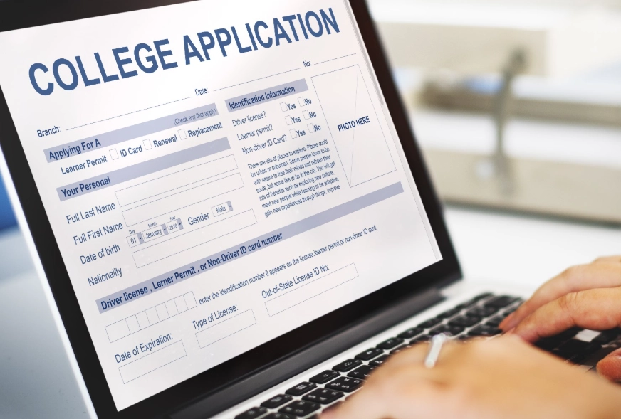university application process