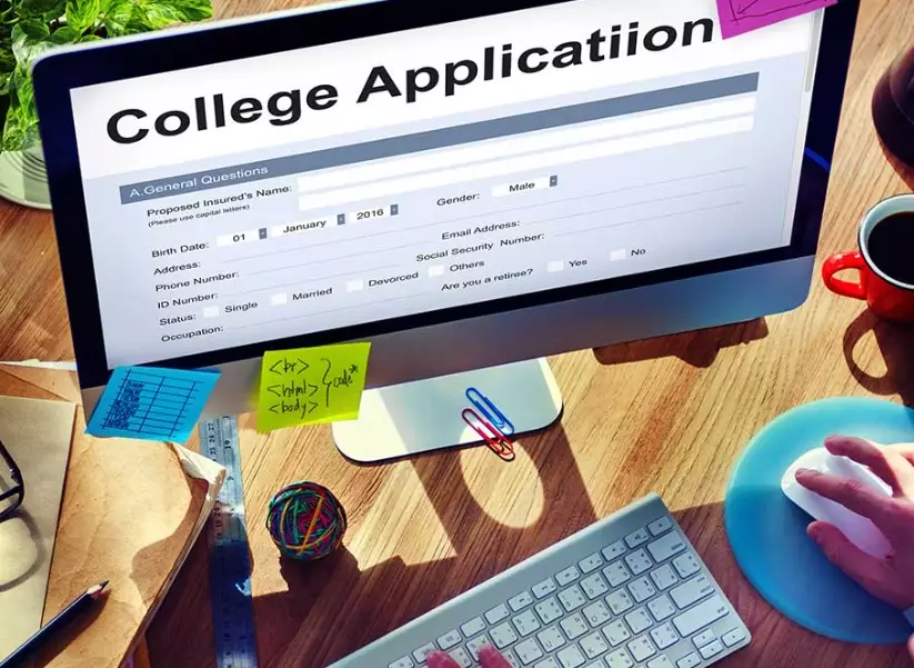 university application process