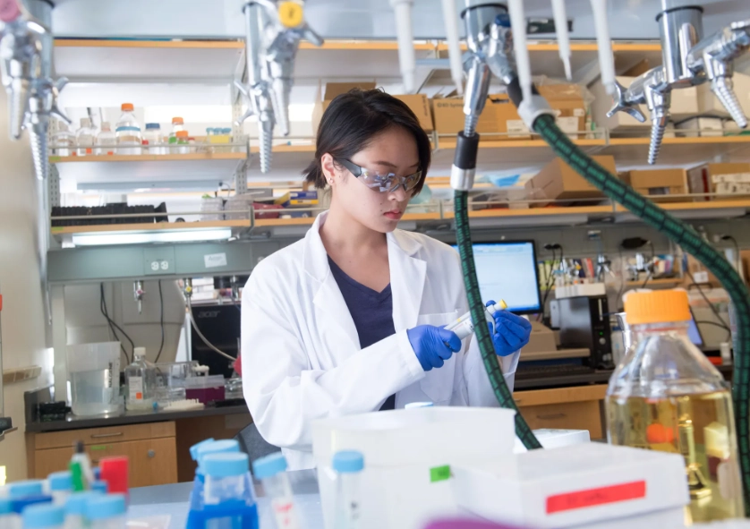 career paths for STEM graduates