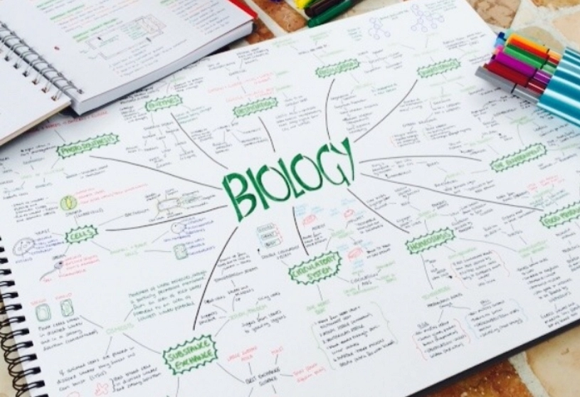 how to study effectively